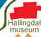 Hallingdal museum